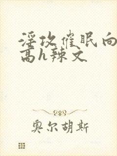 淫攻催眠向np高h辣文