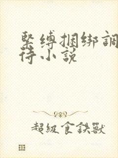 紧缚捆绑调教虐待小说