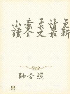 小意柔情免费阅读全文最新章节封面