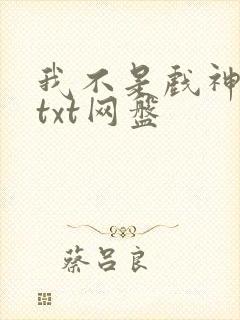 我不是戏神小说txt网盘