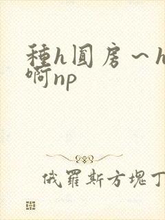 种h圆房～h嗯啊np