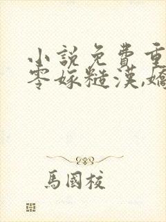 小说免费重生七零嫁糙汉,娇娇美又撩封面