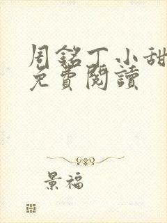 周铭丁小甜小说免费阅读