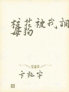 校花被我调教成母狗