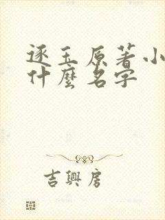 逐玉原著小说叫什么名字