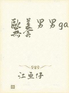 欧美男男gay无套
