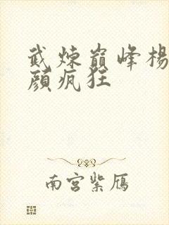 武炼巅峰杨开苏颜疯狂封面