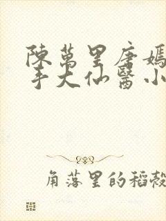 陈万里唐嫣然妙手大仙医小说封面