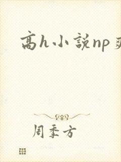 高h小说np爽