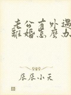 老公有外遇了要离婚怎么办