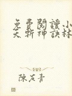 免费阅读小说九天斩神诀林辰