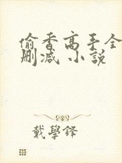偷香高手全文无删减 小说