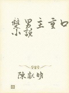 双男主重口调教小说封面