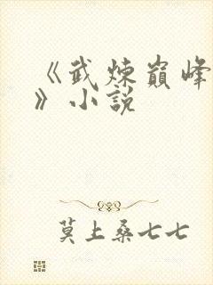 《武炼巅峰杨开》小说