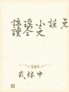 锦瑶小说免费阅读全文封面