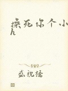 操死你个小骚货h