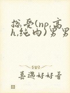 总受(np,高h,纯肉)男男文封面