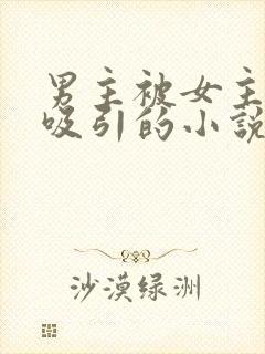 男主被女主深深吸引的小说