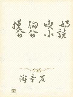 摸 胸 吃 奶 公公 小说