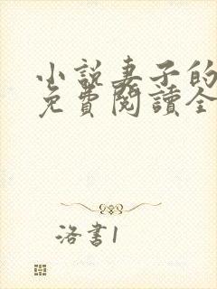 小说妻子的秘密免费阅读全文