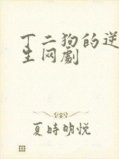 丁二狗的逆袭人生网剧