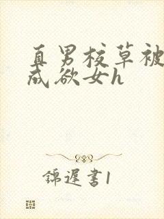 直男校草被调教成欲女h