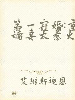 第一宠婚:重生娇妻太惹火