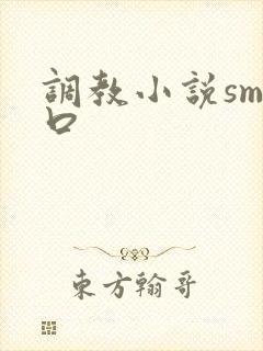 调教小说sm重口封面