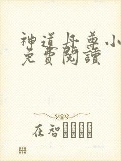 神道丹尊小说的免费阅读