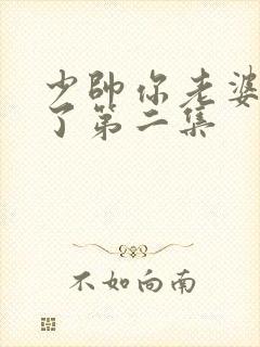 少帅你老婆又跑了第二集