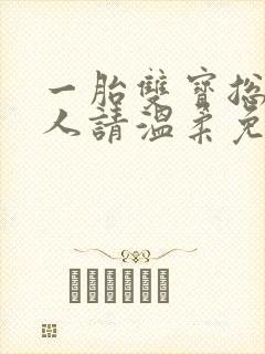 一胎双宝总裁大人请温柔免费阅读封面