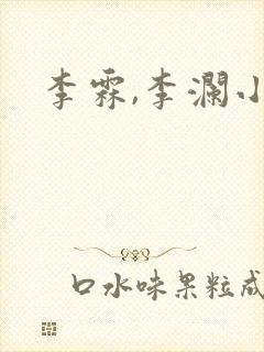 李霖,李澜小说