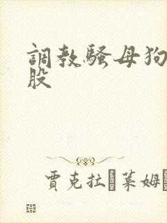 调教骚母狗打屁股