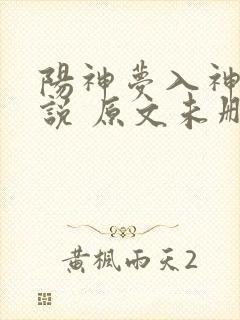 阳神梦入神机小说 原文未删减