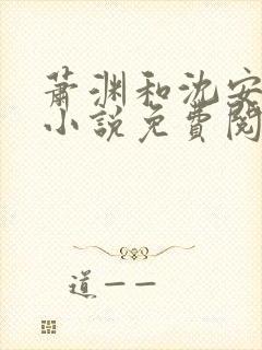 萧渊和沈安安的小说免费阅读