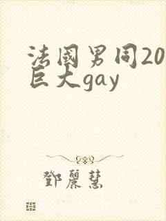 法国男同20超巨大gay封面