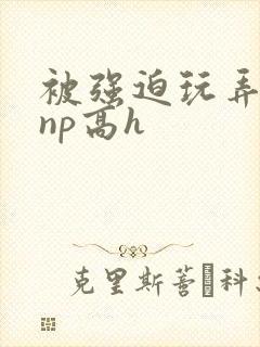被强迫玩弄屈辱np高h