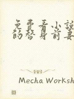 免费看小说总裁的替身前妻