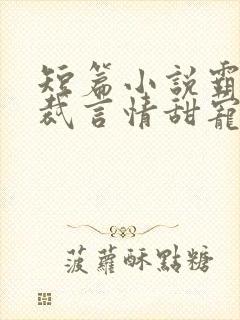 短篇小说霸道总裁言情甜宠
