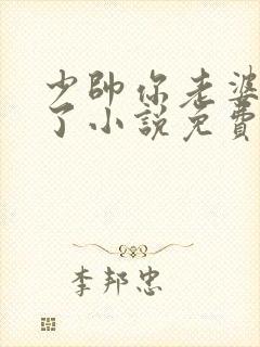 少帅你老婆又跑了小说免费看