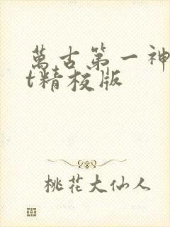 万古第一神txt精校版