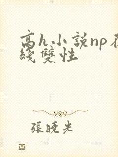 高h小说np在线双性