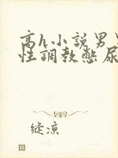 高h小说男男双性调教憋尿