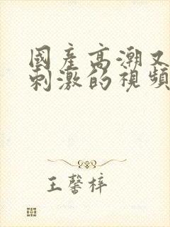 国产高潮又爽又刺激的视频免费