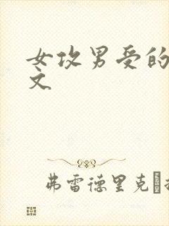 女攻男受的高h文