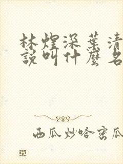 林煜深叶清瑶小说叫什么名字封面