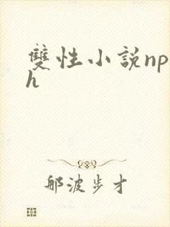 双性小说np高h