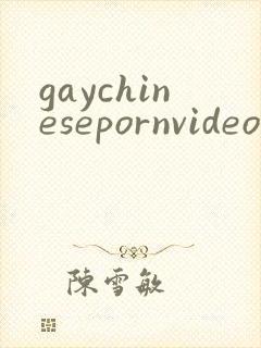 gaychinesepornvideos