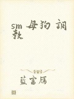 sm 母狗 调教
