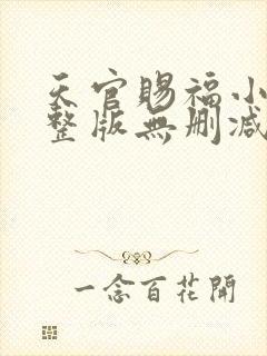 天官赐福小说完整版无删减txt